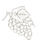 Uvas
